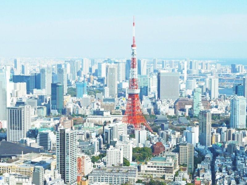 Amazing Tokyo 1 Day Tour with Lunch