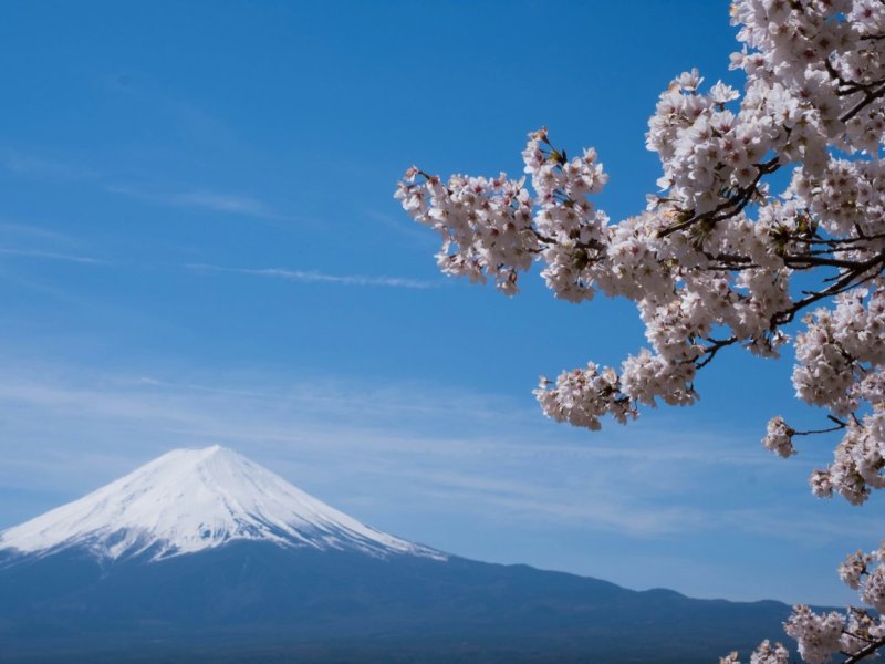 Spectacular Mt.Fuji 1 Day Tour with Lunch